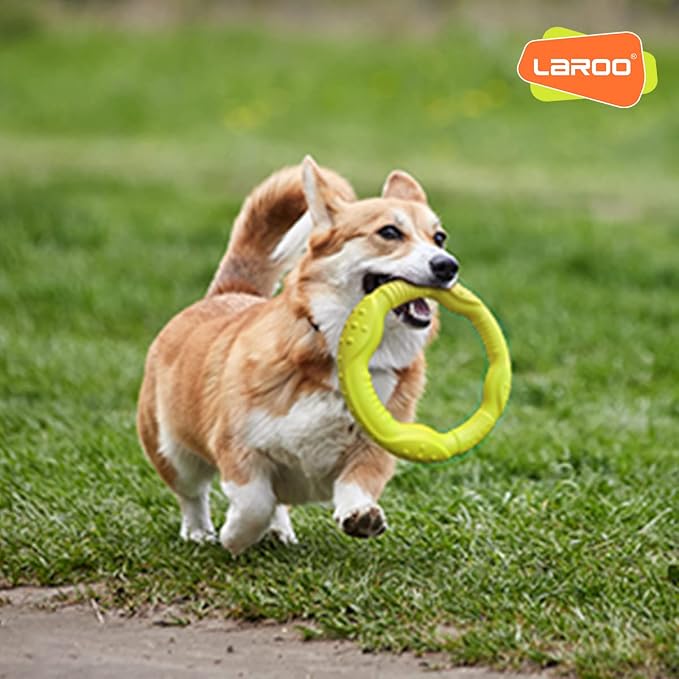 LaRoo Dog Flying Ring Toys, Floating Flying Disc Toys, Summer Pet Training Outdoor Durable Chew Toys for Medium and Large Dogs (Medium Green/22cm)