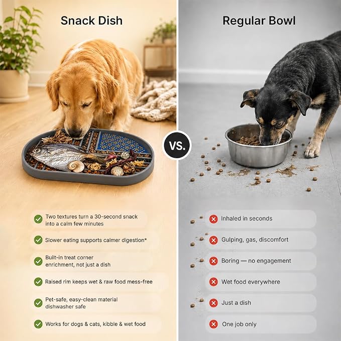 Snack Dish Slow Feeder Bowl for Dogs & Cats – Dual Pattern Design with Treat Corner, Mess-Free Feeding, Dishwasher Safe | Kubi Pets | (Gray)