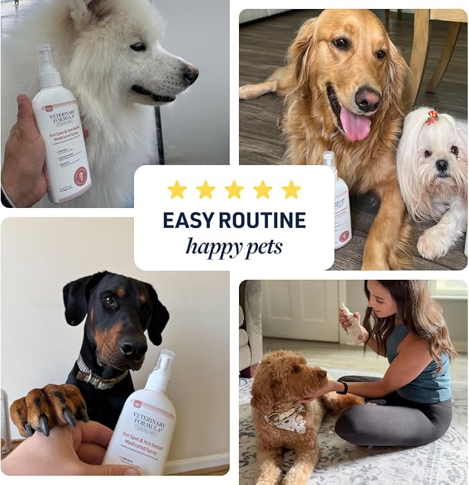 Veterinary Formula Clinical Care Hot Spot & Itch Spray, 16 oz, 2-Pack | Medicated Sprayfor dogs and cats that helps alleviate sensitive skin, scratching and licking of the coat