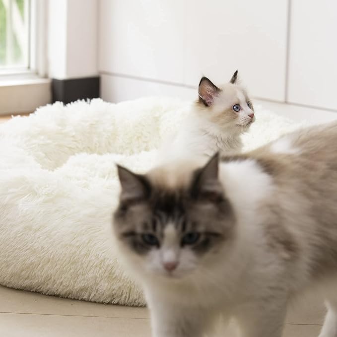 Anti Anxiety Round Fluffy Plush Faux Fur Warm Washable Dog Bed & Cat Bed, Original Bed for Small Medium Large Pets,Used to Relieve Joints and Improve Sleep(20"/24"/27'') (20", White)