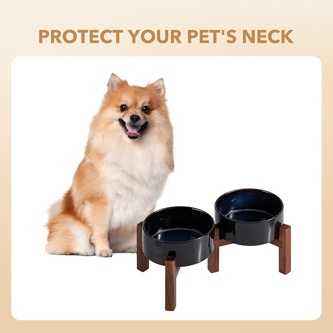 Havniva 6.1" Elevated Dog Bowls Ceramic Raised Dog Bowl with Non-Slip Stand (Acacia Wood) Two Height Options, Dog Food & Water Bowl for Small & Medium Breed Dogs - 3.4 Cups 27 oz