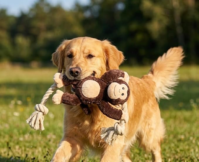 Native Pup Dog Toy Rope and Plush Stuffed Squeaker, Tug of War Toys for Dogs, Puppy Welcome Home Add on for Pets (Monkey)