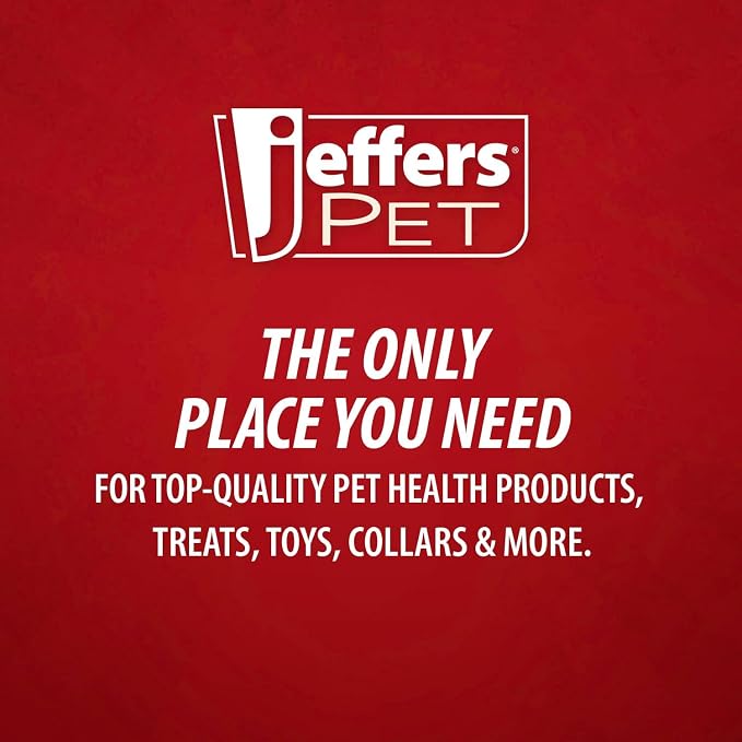Jeffers Pet Tearless Baking Soda Deodorizing Shampoo for Dogs & Cats, 17 oz - Concentrated Baking Soda & Aloe Vera Formula with Baby Powder Fragrance, Moisturizing Shampoo for Professional Grooming