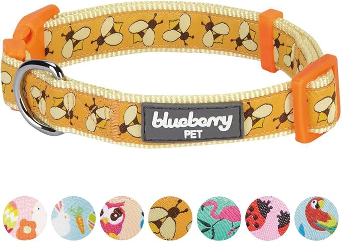 Blueberry Pet Essentials 10 Patterns Statement Busy Bees Designer Adjustable Dog Collar, Medium, Neck 14.5"-20"