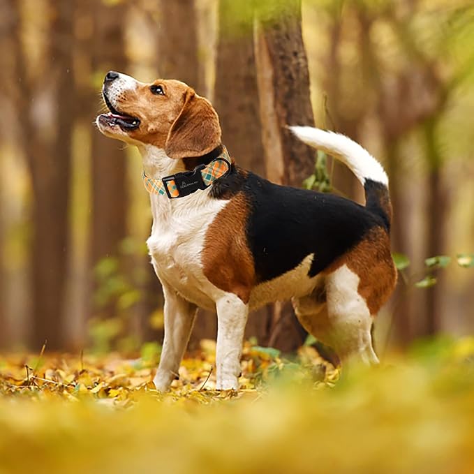 ARING PET Fall Dog Collar, Cute Orange Green Plaid Halloween Autumn Pet Collars with Quick Release Buckle for Puppy Small Medium Large Girl Boy Dogs Cotton-S