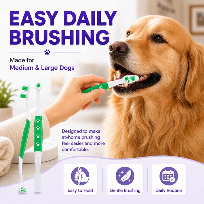 Dog Toothbrush, Dual-Head, for Medium-Large Dogs, Green | Soft Bristles for Gentle Cleaning ,60° Curved Bristles for Better Coverage ,Comfortable for Sensitive Gums