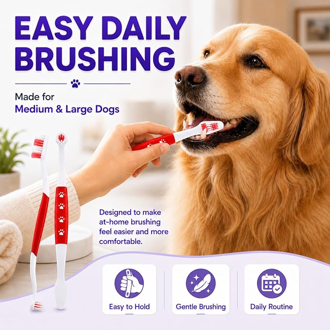 Dog Toothbrush, Dual-Head, for Medium-Large Dogs, Red | Soft Bristles for Gentle Cleaning, 60° Curved Bristles for Better Coverage, Comfortable for Sensitive Gums