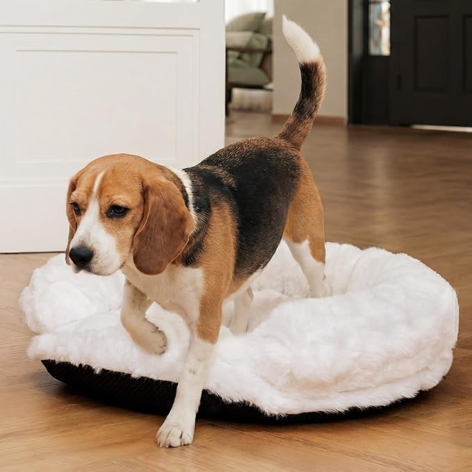 Dog Bed Couch Sofa for Small Medium Dogs Cats 30x30x9 Round White | Round Plush, Orthopedic, Washable, Removable Cover, Anxiety Relief