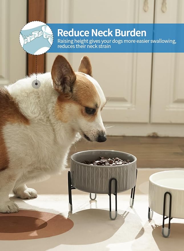 32 oz Ceramic Dog Cat Bowls with Elevated Metal Stand | 6.5 Inch Wide, 2 Heights, Round Pet Food and Water Feeder Bowl Dish, for Cats & Dogs, White & Grey