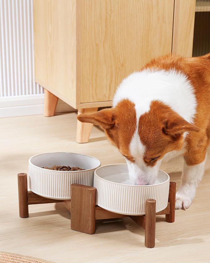 Getstar Ceramic Dog Bowls Set with Acacia Wood Stand, 3.5 Cups Pet Bowls Set of 2 for Medium Dogs, Cute Dog Raised Food Bowl, Cat Bowls