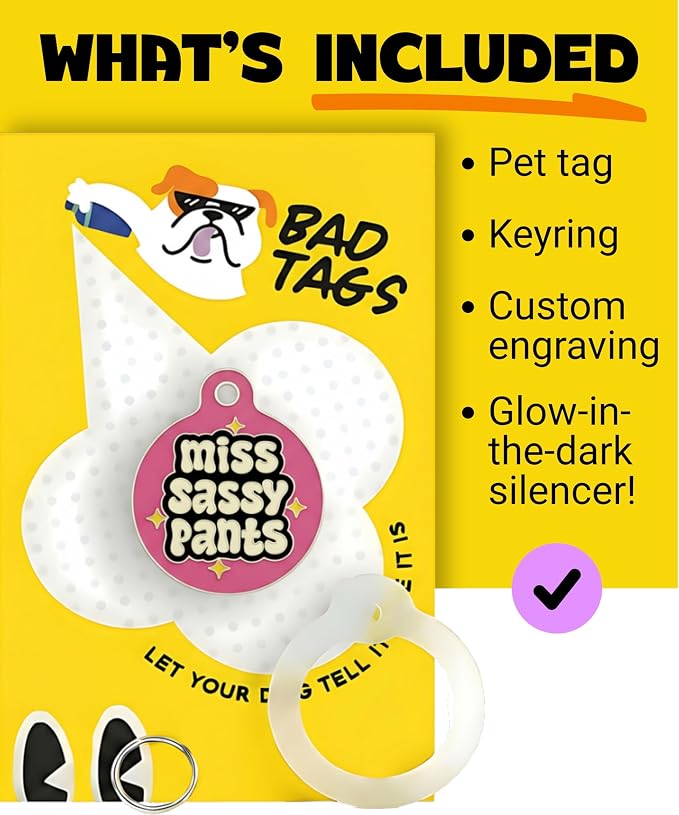 Bad Tags Personalized Dog and Cat ID Tags in 25+ Designs and 2 Sizes - 5 Lines of Custom Engraved Text - Funny Cute Personalized Pet Tags (Miss Sassy Pants, Small (1 inch))