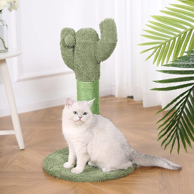 Amazon Basics Cat Scratching Post, Indoor Cactus with Natural Sisal for Kittens with Dangling Ball Toy, Medium, 25.6"H, Green