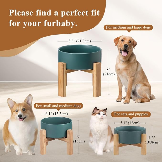 Elevated Ceramic Cat Bowl - Cat Food Bowl with Bamboo Stand - Raised Dog Dish for Puppies - Anti Vomiting, Stress Free - 13.5 oz / 400 ml - White