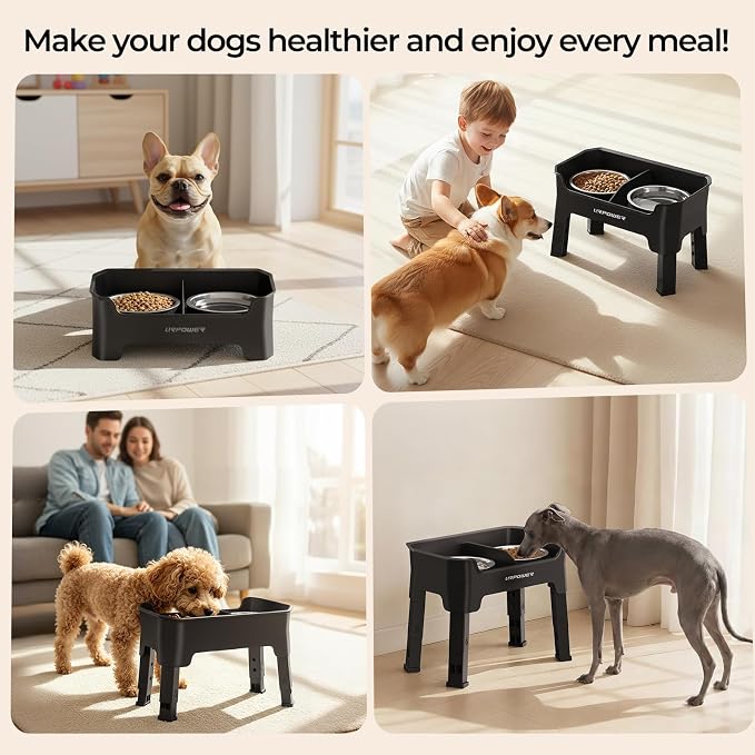 URPOWER Mess Proof Elevated Dog Bowls, High Wall Splash Guard Design, 4 Height Adjustable Raised Bowl Stand, 2 Stainless Steel Bowls, Non-Slip Food Water Set for Small Dogs