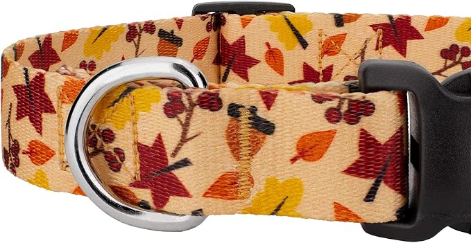 Country Brook Design 1/2 Inch Adjustable Everyday Dog Collar for Small, Medium, Large Breeds - Autumn and Fall Collection with Multiple Designs (Fall Foliage, Large)