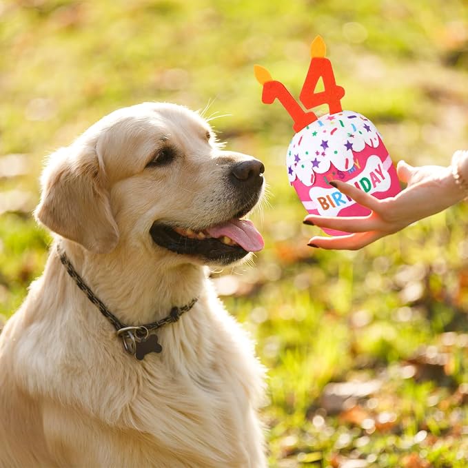 Dansydaisy Dog Birthday Cake Toy Squeaky Plush Toy for Girl Boy Gifts, Chew Accessories for Dog Birthday Party Decor Favor for Large, Medium and Small Dogs(14th,Pink)