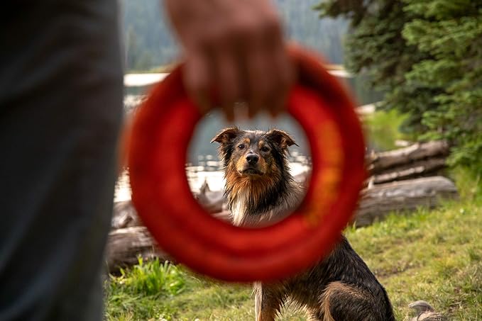 Ruffwear, Hydro Plane Dog Flying Disc, Soft Buoyant Foam Floating Fetch Toy, Lightweight Interactive Water & Snow Toy, Gentle on Teeth, Durable Year-Round Outdoor Play, Tangelo Orange, 9", Medium