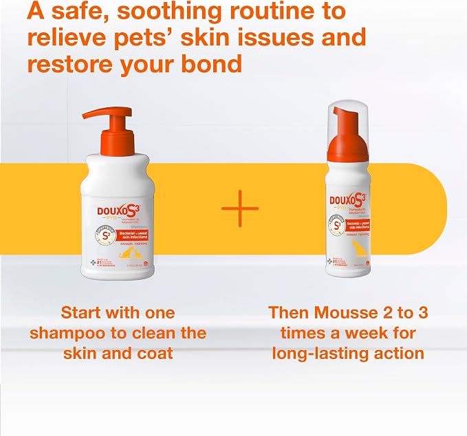 Douxo S3 PYO Medicated Dog Shampoo with 3% Chlorhexidine for Dogs – Antibacterial & Antiseptic Yeast Infection Treatment For Dogs & Cats, Clinically Proven, 6.7 fl oz