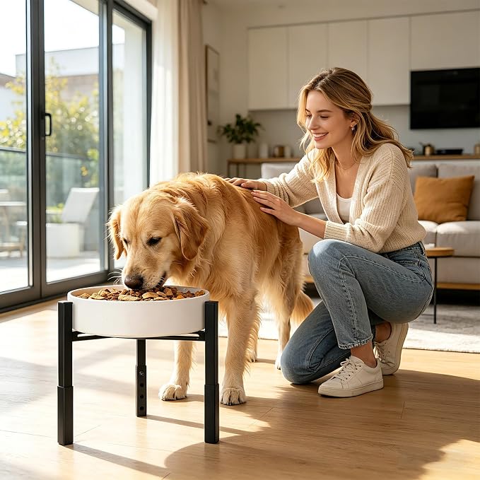 Adjustable Raised Dog Bowl Stand, Metal Elevated Feeding Station for Dogs, Without Bowls