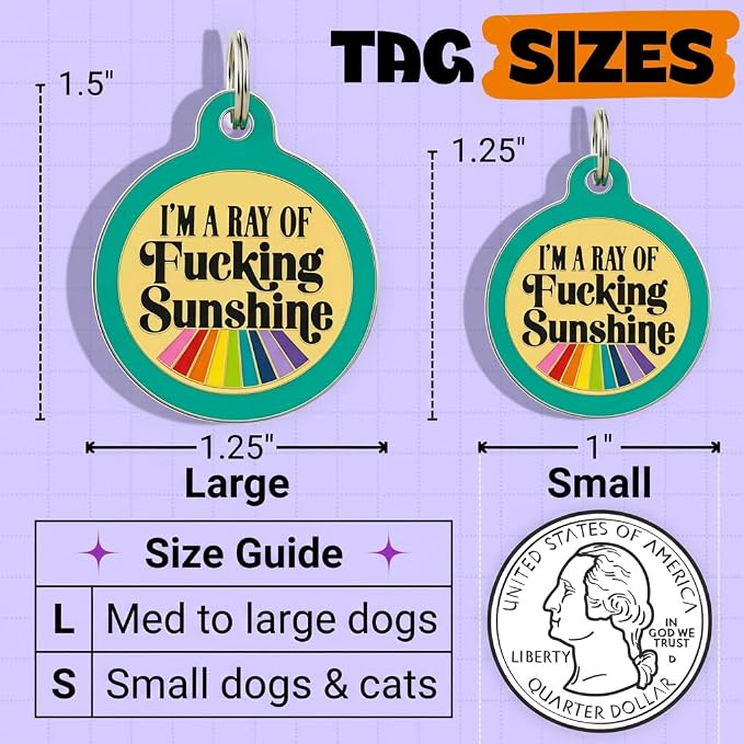 Bad Tags Personalized Dog and Cat ID Tags in 25+ Designs and 2 Sizes - 5 Lines of Custom Engraved Text - Funny Cute Personalized Pet Tags (I'm A Ray of F*cking Sunshine - Teal, Large (1.25 inch))