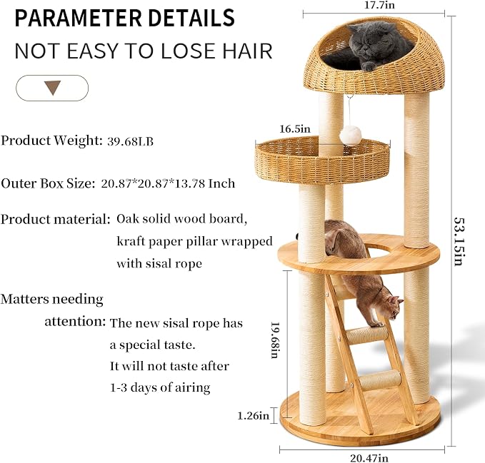 SHODMI Modern Cat Tree Tower for Large Indoor Cats, 53-Inch, 2 Basket Beds | 8 cm thick sisal scratching posts, 20.5-inch wide stable base, rubberwood frame, sisal stairs, plush & cooling mats