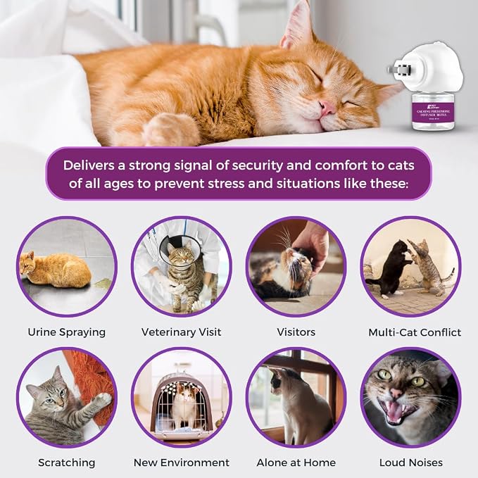 Cat Calming Pheromone Diffuser - 1 Diffuser Head & 2 Refills for 60 Days - Anxiety Relief Cat Essentials Products - Calm Cats Accessories - Cat Pee Prevention Supplies