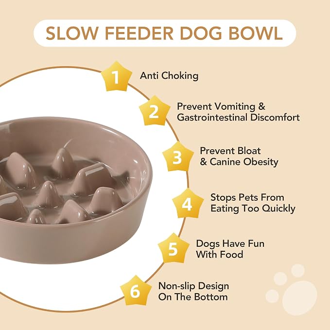 Havniva Ceramic Slow Feeder Dog Bowls, 0.9 Cups Dog Bowl Slow Feeding for Small Breed, 6.1inch Puzzle Dog Food Bowl Slow Feeder Non-Slip Anti-Gulping and Anti-Choking Reduces Bloating