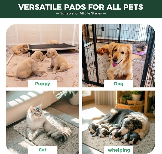FXW Washable Pee Pads for Dogs, Super Absorbent, 27" x 41", 2 Packs | Machine washable, Non-slip backing