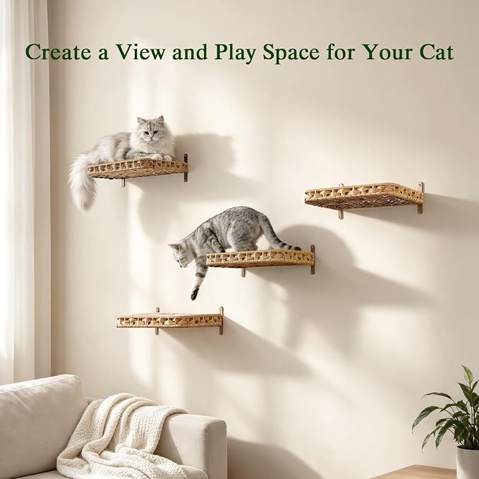 SETVSON Cat Window Perch 2-in-1 Cat Window Hammock Bed, Wall Shelves | Handwoven PE Rattan Kitty Seat with 4 Suction Cups, Double-Sided Washable Cushion Bed, 2.3" Fence, 16.5x12.6 In, Home Decor