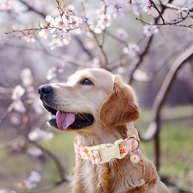ARING PET Spring Summer Dog Collar-Cute Floral Doggy Collars for Small Dogs, Adjustable Cotton Sunflower Pet Collars Puppy Collar for Small Medium Large Dogs