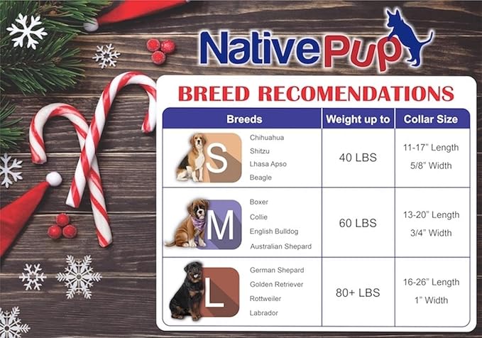 Native Pup Christmas Dog Collar- Winter Holiday Collars for Pets- Xmas Gift for Puppy- Santa, Reindeer, Snowman, Candy Cane, Red Green- Girl Boy- Small, Medium, Large Breeds (Candy Cane, Large)