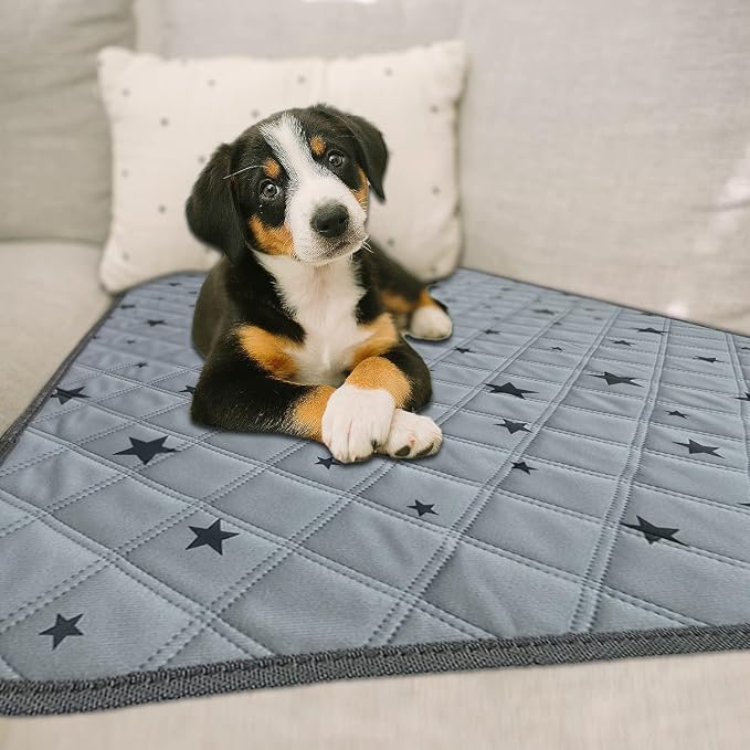 RIOUSSI Reusable Pee Pads for Dogs, Puppies. Washable, Absorbent, Leakproof | Soft Material | Non-Slip Bottom | Ideal for Dog Potty Training | Gray Stars, 36"x41", 4-Pack