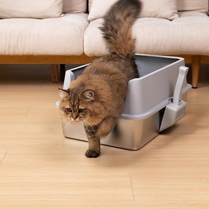 XL Stainless Steel Litter Box with Lid, Extra Large Cat Litter Box | 2Pack Metal Cat Litter Box for Big Cats, High Sided, Easy Cleaning ,Odor-Free Includes Scoop and Mat