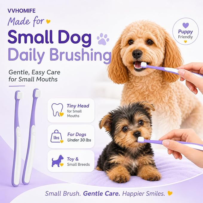 Small Dog Toothbrush, Mini Head, Soft Bristles, Under 30 lbs | Gentle Tiny Teeth Care. Curved Handle Reach. Soft Gum Comfort. Rubber Grip Control. Easy Daily Brushing.