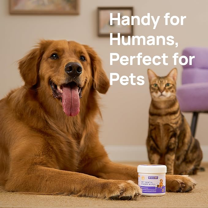 HICC PET Teeth Cleaning Finger Wipes for Dogs & Cats, Daily Oral Care Dental Wipes, Dog Toothbrush Alternative for Teeth & Gum Cleaning, Soft Textured Finger Wipes for Puppies, Adult Dogs & Small Pets