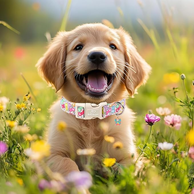 Easter Dog Collar for Small Dogs - Colorful Bunny Print Easter Collar for Male Female Dogs, Lightweight Adjustable Spring Holiaday Dog Collars with Quick Release Buckle S