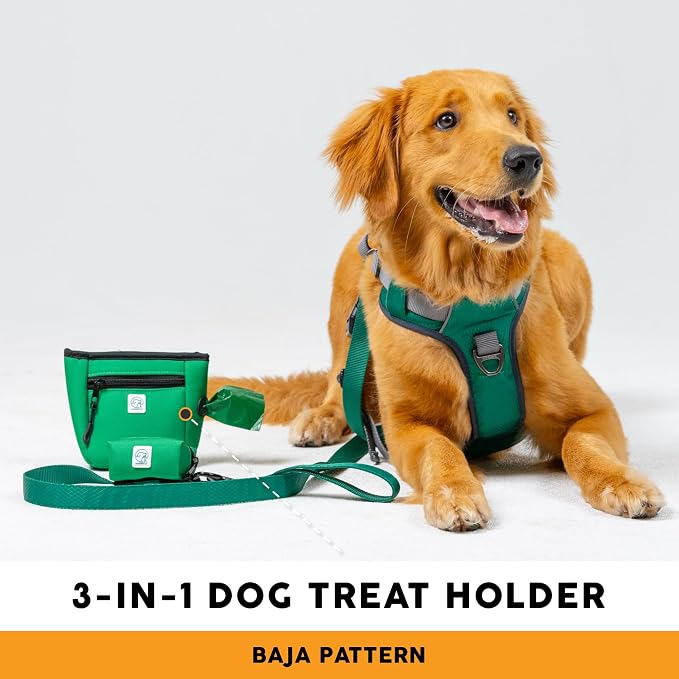 Embark Dog Treat Pouch - Waterproof Training Bag & Portable Water Bowl | Leakproof Treat Bag with Hook, Magnetic Closure, Extra Pocket for Phone & Keys with Poop Bag Outlet For Dogs - Black