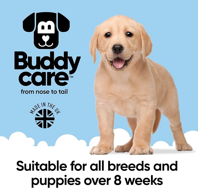 2in1 Dog Shampoo & Conditioner by Buddycare | Coconut Scented | with Aloe Vera and Pro Vitamin B5 (50.72oz)
