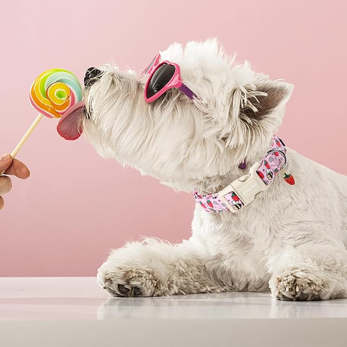 ARING PET Summer Dog Collar-Cute Pink Dog Collar for Small Dogs, Adjustable Strawberry Bees Print Pet Collars Puppy Collar for Small Medium Large Dogs