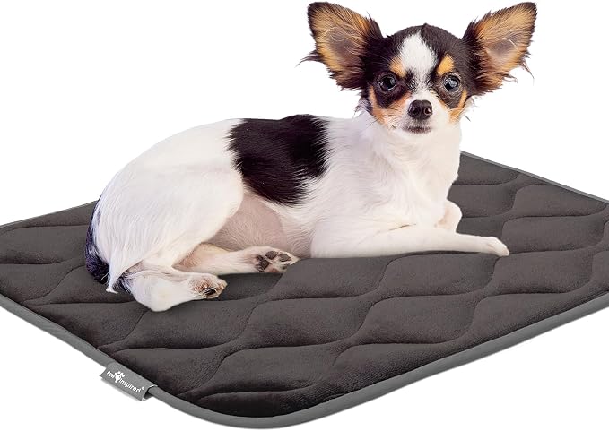 Paw Inspired Washable Padded Crate Mats for Dogs, Gray, 23x17 Inch | Fits 24-inch Kennels, Leakproof, Waterproof Bottom, Plush Dog Pad, Pet Bed