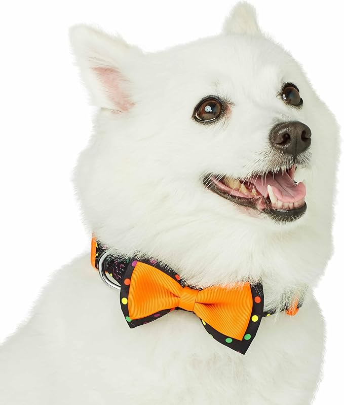 Blueberry Pet Halloween Polka Dot Adjustable Dog Collar with Detachable Bowtie, Small, Neck 12"-16"