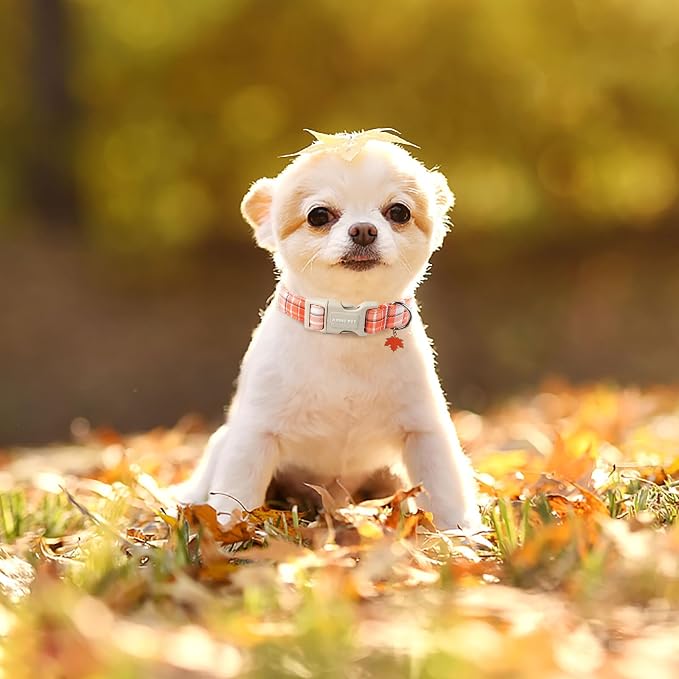 ARING PET Fall Dog Collars, Cute Orange White Plaid Halloween Autumn Pumpkin Maple Leaves Pet Collar with Quick Release Buckle for Small Medium Large Girl Boy Dogs-XS