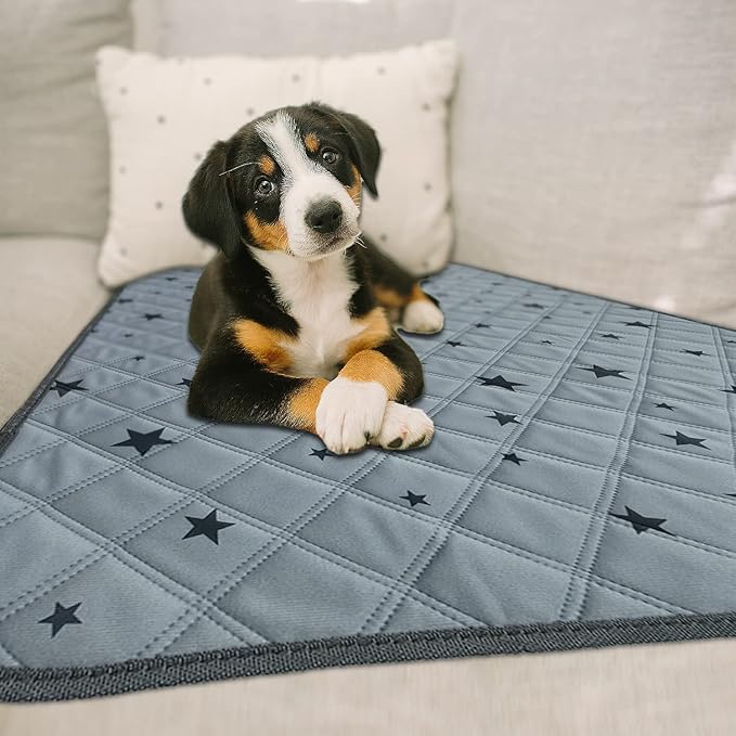RIOUSSI Reusable Pee Pads for Dogs, Puppies. Washable, Absorbent, Leakproof | Soft Material | Non-Slip Bottom | Ideal for Dog Potty Training | Gray Stars, 48"x65", 1-Pack
