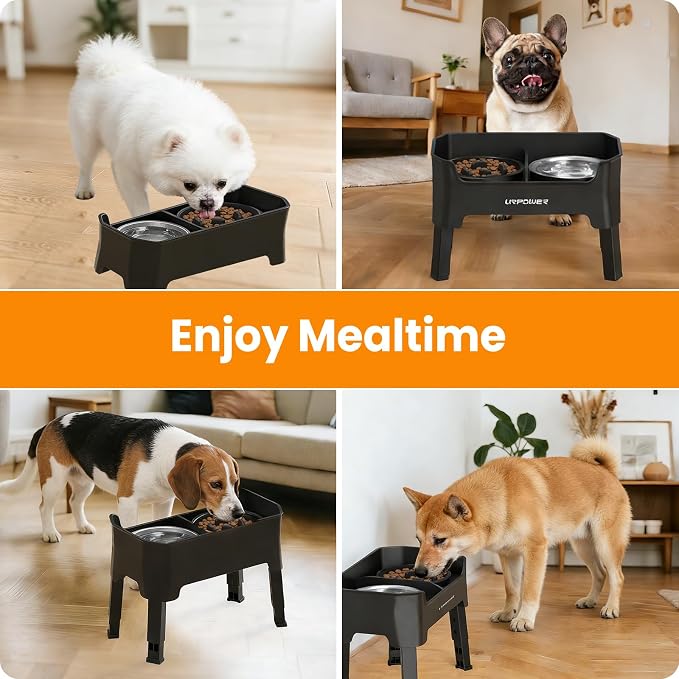 URPOWER 3-in-1 Elevated Dog Bowls - Mess Proof Double Deck 4 Height Adjustable Raised Stand with 2 Stainless Steel Food Bowls & 1 Slow Feeder for Small Dogs