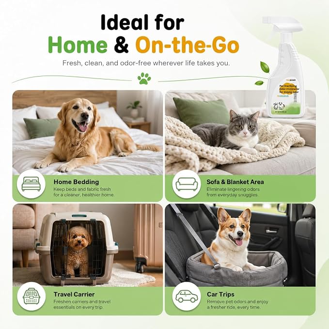 Pet Stain & Strong Odor Eliminator, Dog & Cat Pee Urine Destroyer for Carpet, Upholstery - Cleaner Spray for Pet Stain Remover, Urine, Poop, Pee, Deodorizer, Air Freshener in Home & Car - 8FLoz