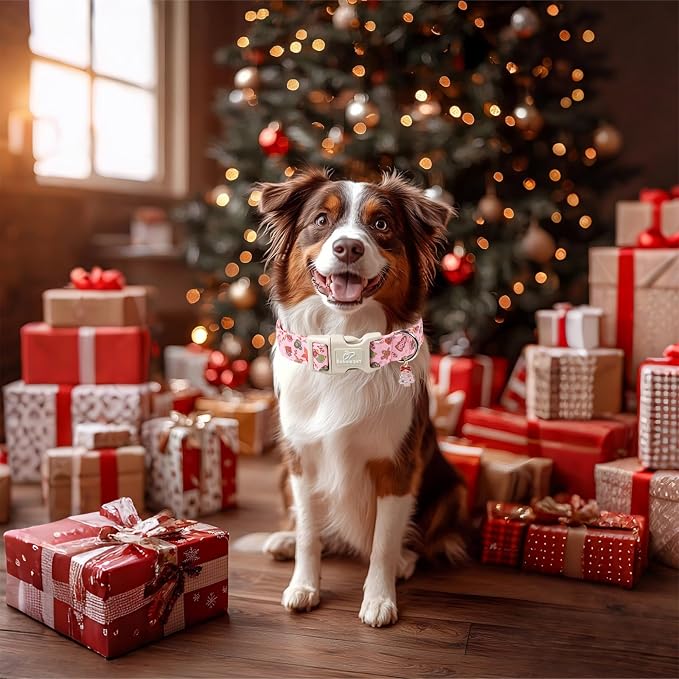 Christmas Dog Collar - Cute Pink Cozy Christmas Puppy Collar with Safety Buckle, Soft Adjustable Holiday Dog Collars for Small Medium Large Dogs XS