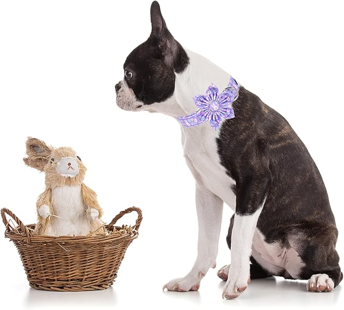 ·MR. CHUBBYFACE· Easter Dog Collar, Purple Rabbit Pet Collar with Flower, Adjustable Puppy Collar Bowtie for Small Medium Large Dogs