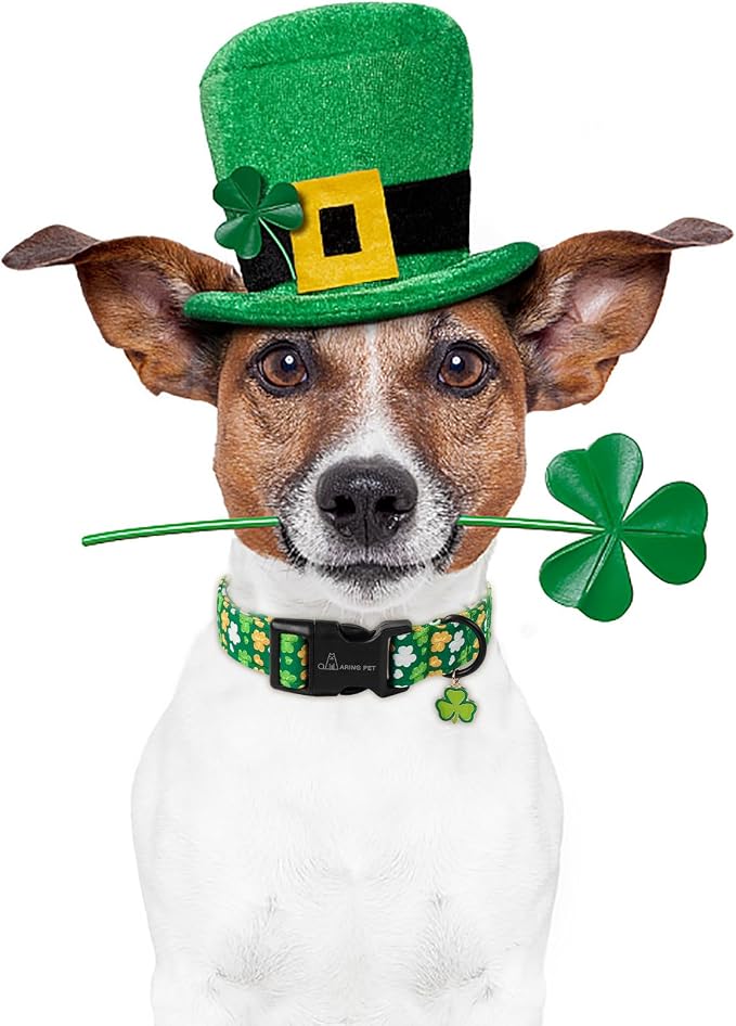 ARING PET St Patrick's Day Dog Collar-Cute Green Adjustable Shamrock Trefoil Pet Collars Puppy Collar Gifts with Quick Release Buckle for Girl&Boy Dogs-S