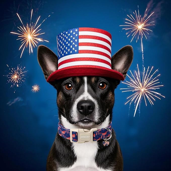 ARING PET 4th of July Collars for Dogs, Fourth of July Patriotic Bow Flag Red Blue Dog Collar for Puppy Small Medium Large Boy Girl Doggy-XS