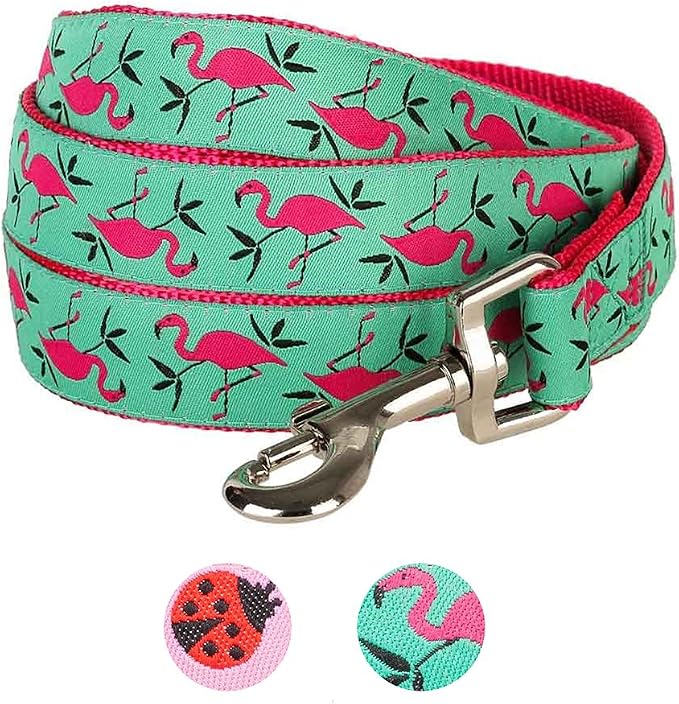 Blueberry Pet Essentials 2 Patterns Durable Pink Flamingo on Light Emerald Dog Leash 5 ft x 5/8", Small, Basic Nylon Leashes for Dogs